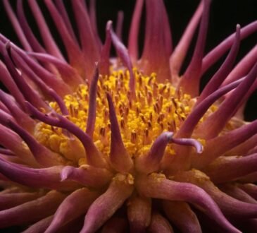 Alpha-Liponsäure: Wirkung auf die Nerven und ihre gesundheitlichen Vorteile