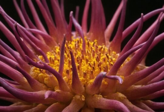 Alpha-Liponsäure: Wirkung auf die Nerven und ihre gesundheitlichen Vorteile